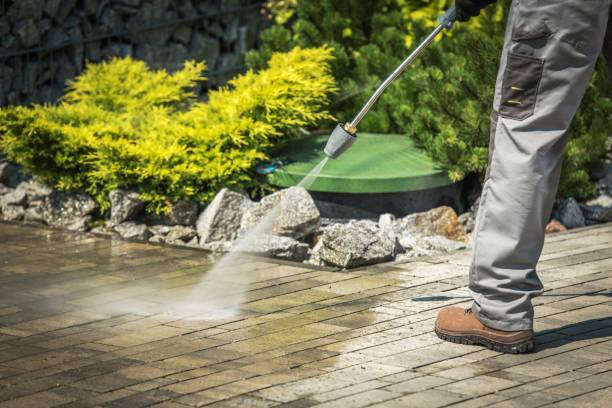 Best Building Exterior Washing  in Greendale, IN